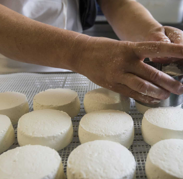 Fromage de chèvre Écu du Pays cathare ©L. Charles - ADT de l'Aude