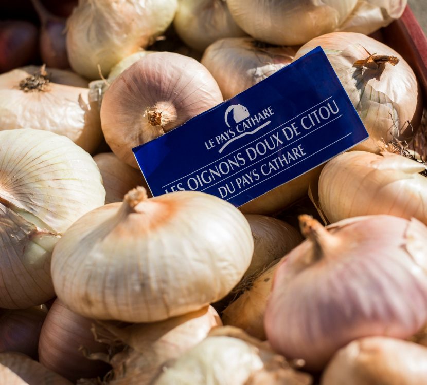 Oignon doux de Citou, marque Pays Cathare©L. Charles, ADT de l'AUDE