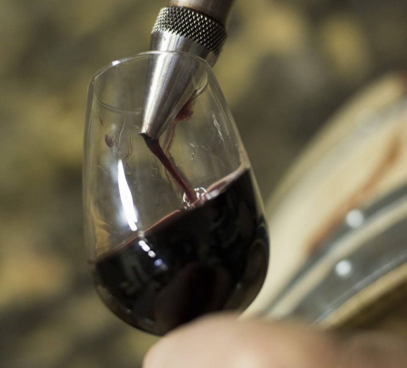 Dégustation de vin au domaine Bertrou Parazols ©Ludovic Charles-ADT de l'Aude