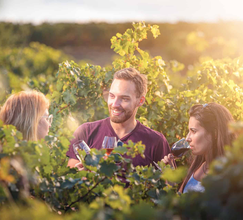 Dégustation de vin dans les vignes ©Vincent Photographie-ADT de l'Aude