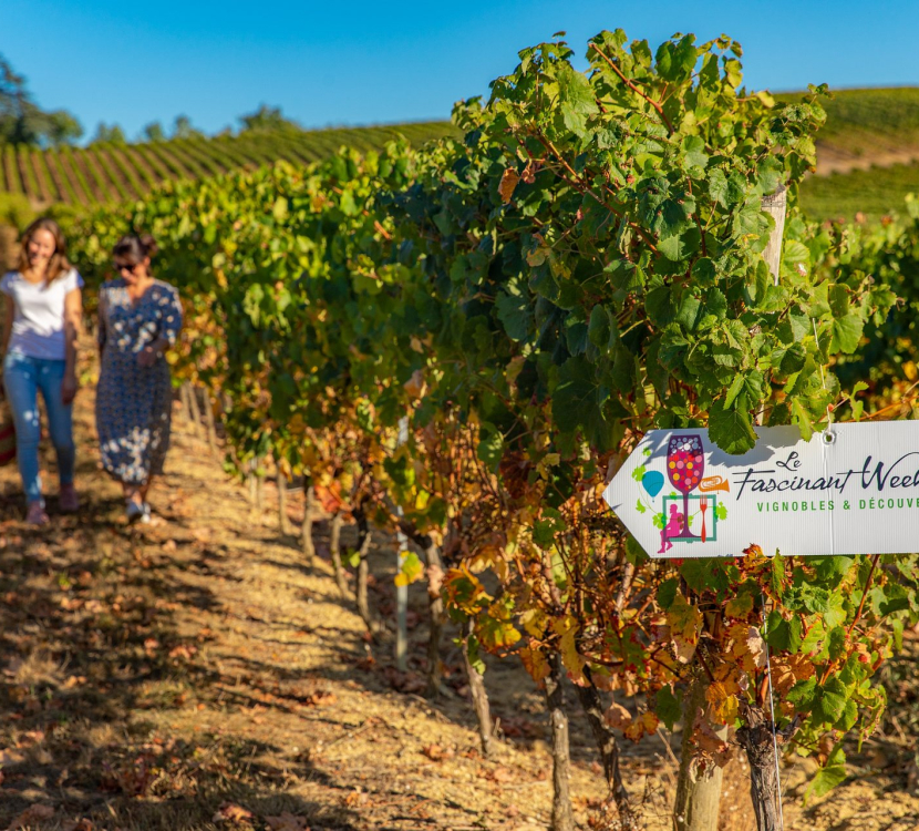Découverte du vignoble lors du Fascinant Week-end dans les vignes de l'Aude, @ Charlène Pelut, CRTL Occitanie Découverte du vignoble lors du Fascinant Week-end dans les vignes de l'Aude, @ Charlène Pelut, CRTL Occitanie