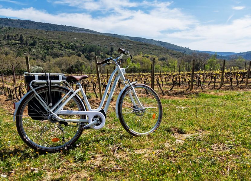 Balade à vélo dans les vignes du Limouxin ©Vélaude