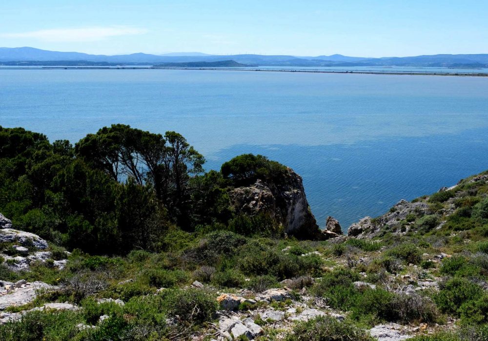 Balade dans la garrigue en bord de mer à Gruissan ©Dominique Cosperec-Villemarcheurs