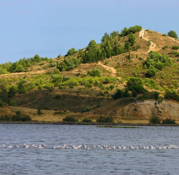 Balade le long de l'étang de Bages à Peyriac de Mer ©Pierre Davy-ADT de l'Aude