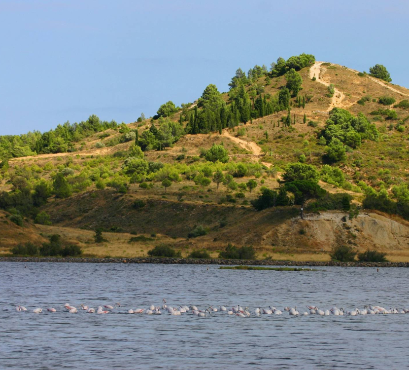 Balade le long de l'étang de Bages à Peyriac de Mer ©Pierre Davy-ADT de l'Aude