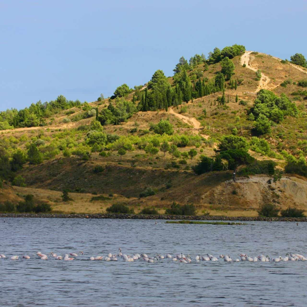 Balade le long de l'étang de Bages à Peyriac de Mer ©Pierre Davy-ADT de l'Aude