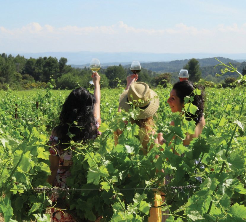Balade vigneronne sur le territoire de Grand Carcassonne, crédit Grand Carcassonne Tourisme