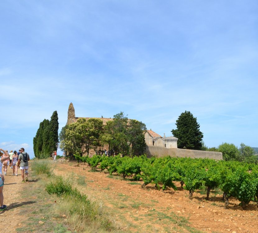 Les Camins de Boutenac, crédit Via Domitia