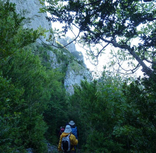 Randonnée en direction du Pech Bugarach ©D. Cosperec-Villemarcheurs