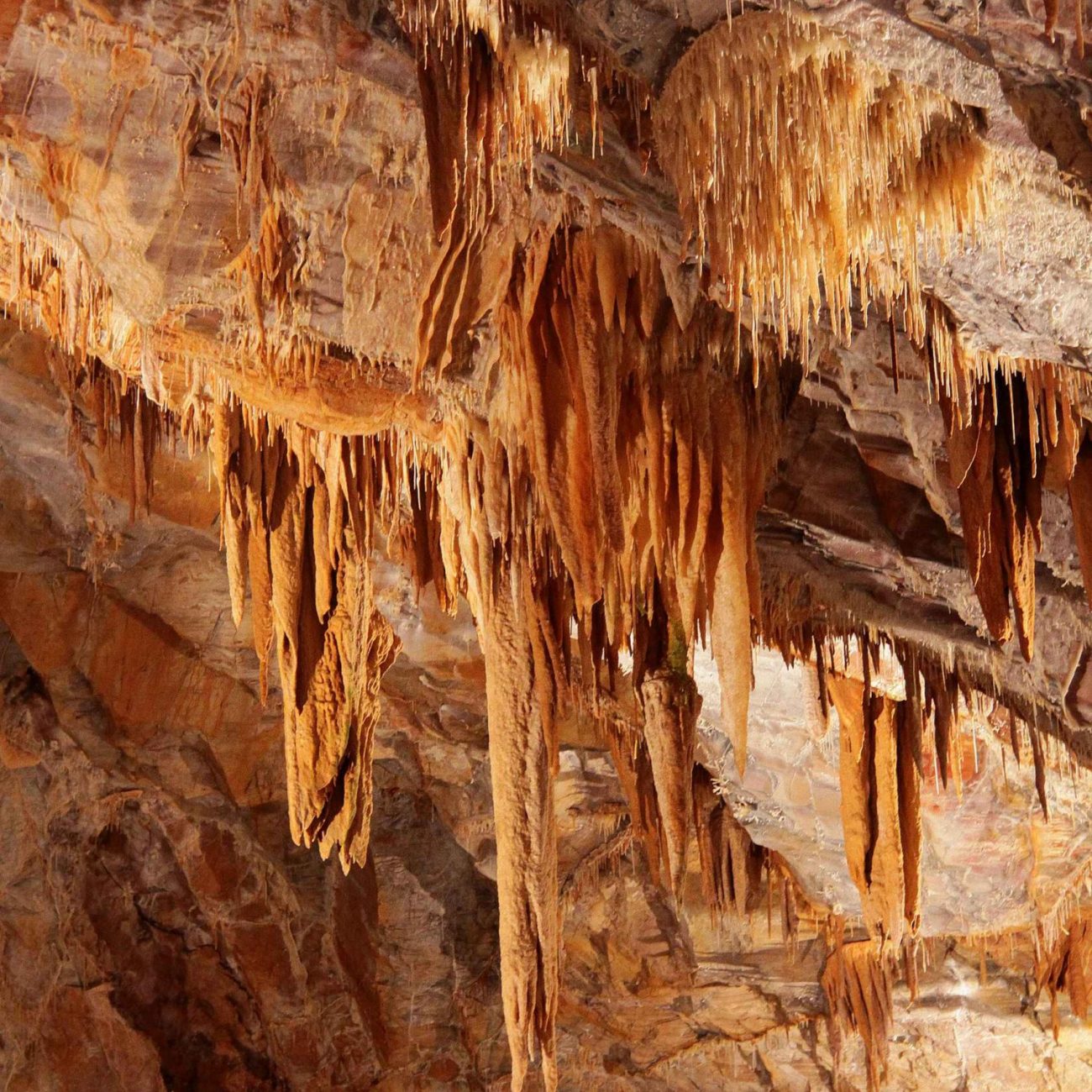 Stalactites au Gouffre Géant de Cabrespine