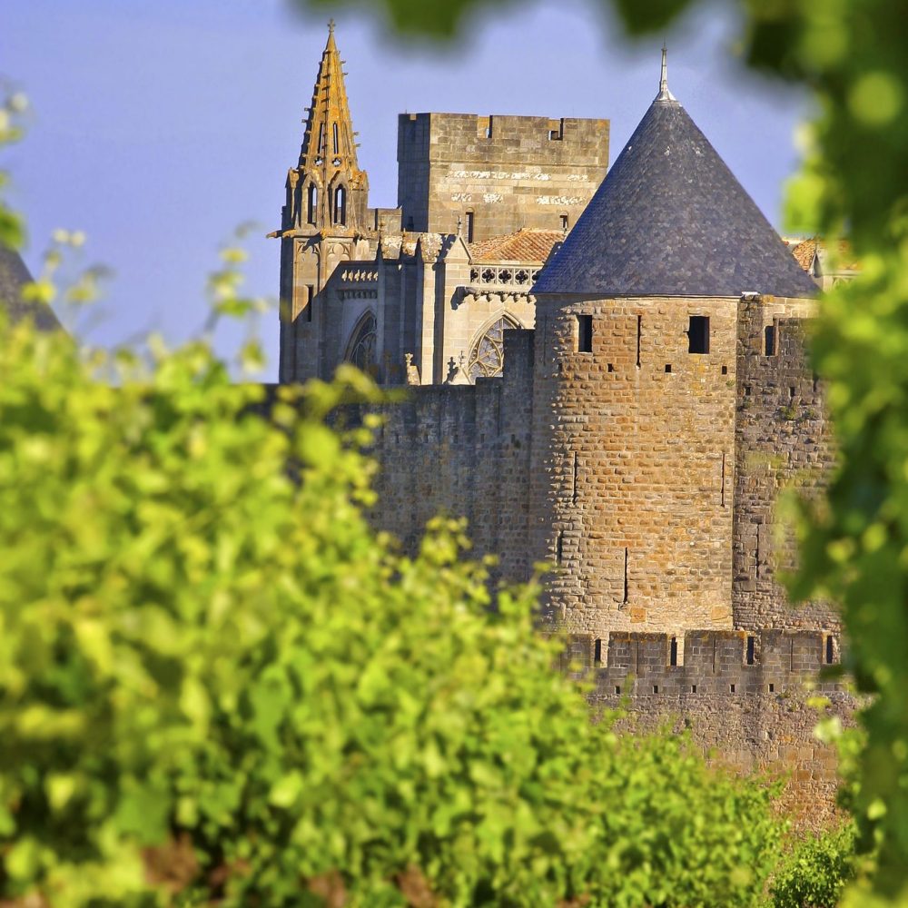 Balade dans les vignes à Carcassonne ©Céline Deschamps-ADT de l'Aude