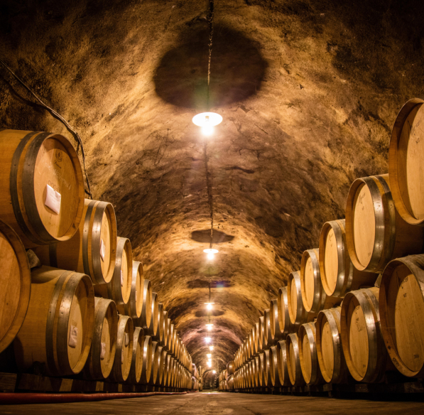 parcours oenotouristique au caveau Sieur D'Arques, à Limoux.  Premières bulles, blanquette et vins tranquilles
