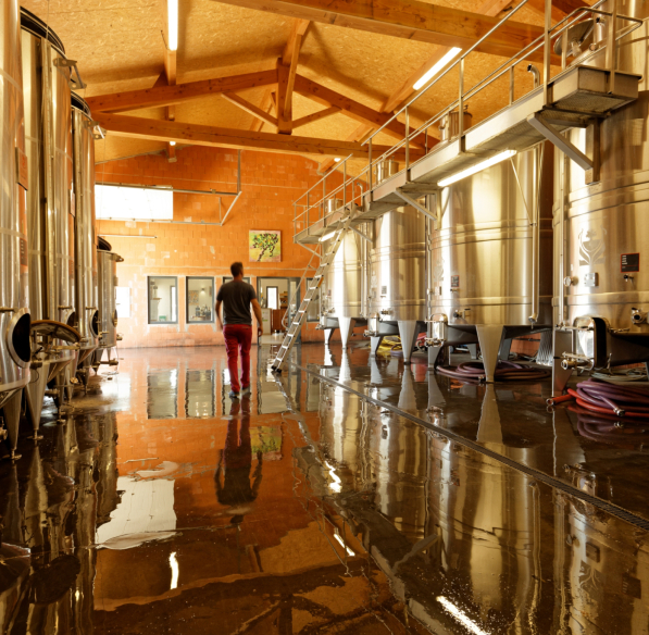 domaine villepeyroux-forest - malvies en minervois