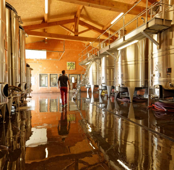 domaine villepeyroux-forest - malvies en minervois