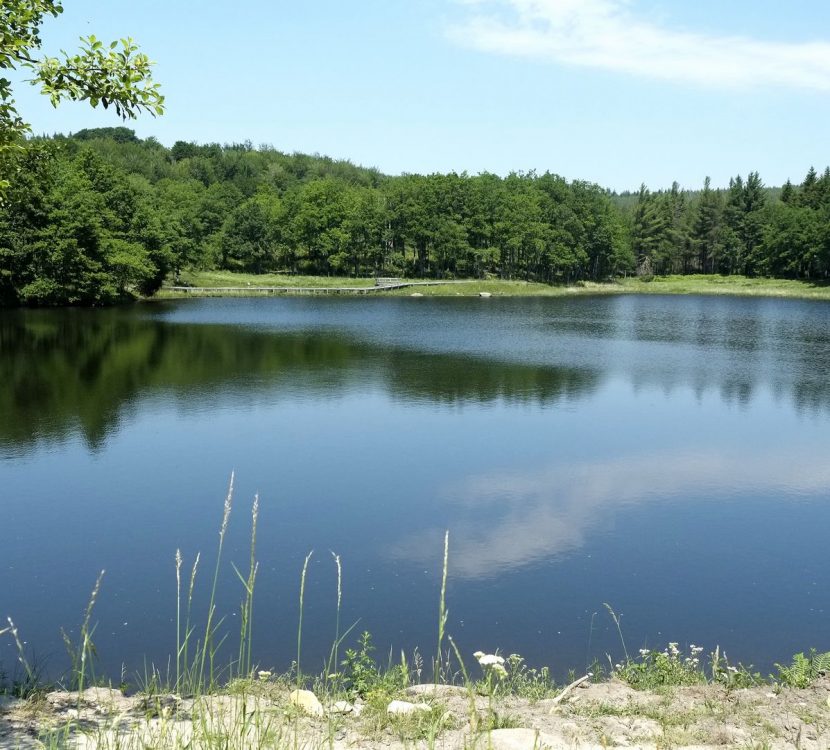 Lac de Laprade, Cuxac Cabardès© G. Maurel, Villemarcheurs