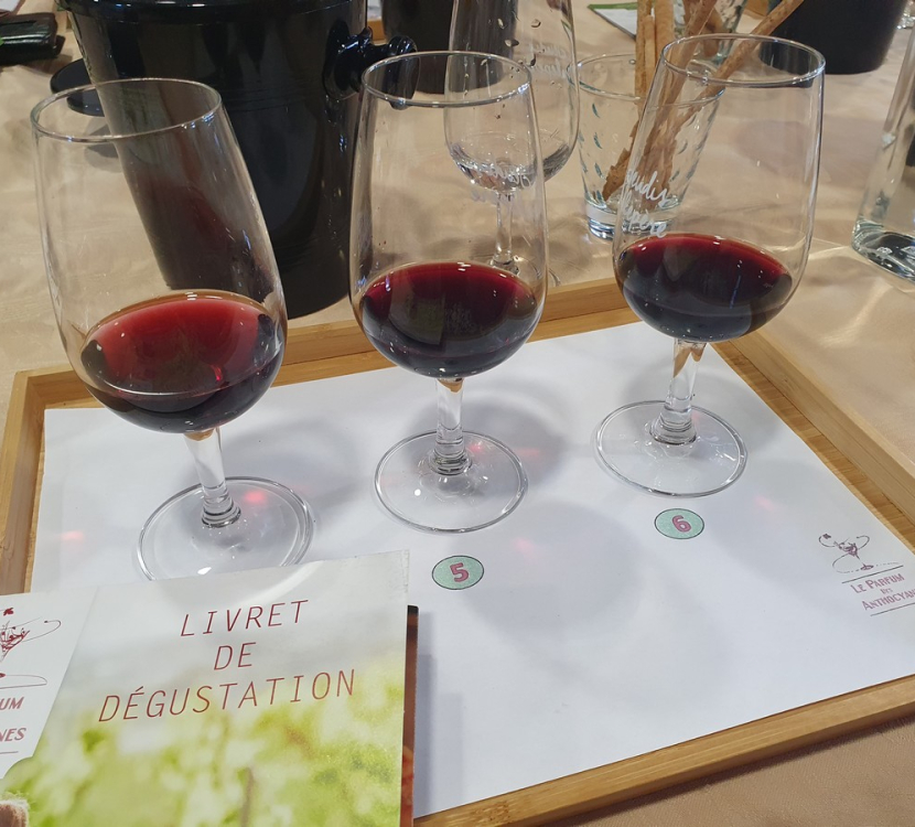 degustation-sensorielle-domaine-le-fort-vin