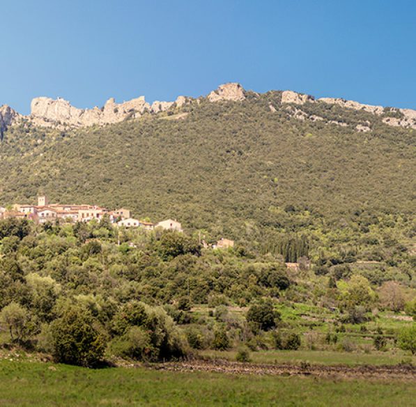 Château de Peyrepertuse à Duilhac sous Peyrepertuse ©Edgard Depuy-ADT de l'Aude