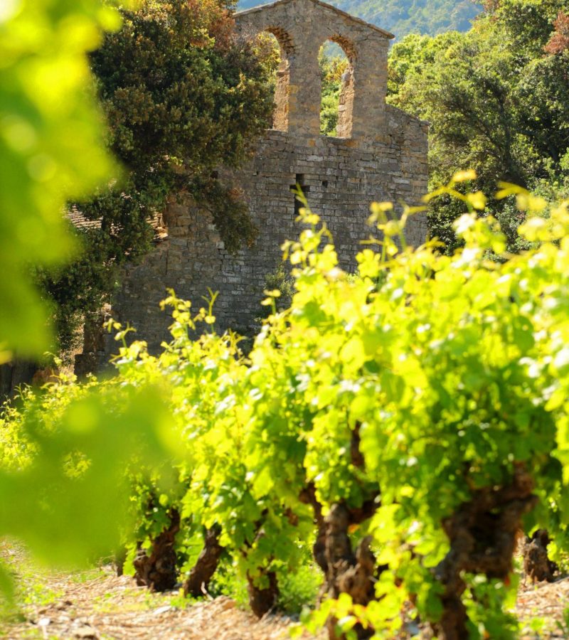 Embres et Castelmaure ©Céline Deschamps-ADT de l'Aude