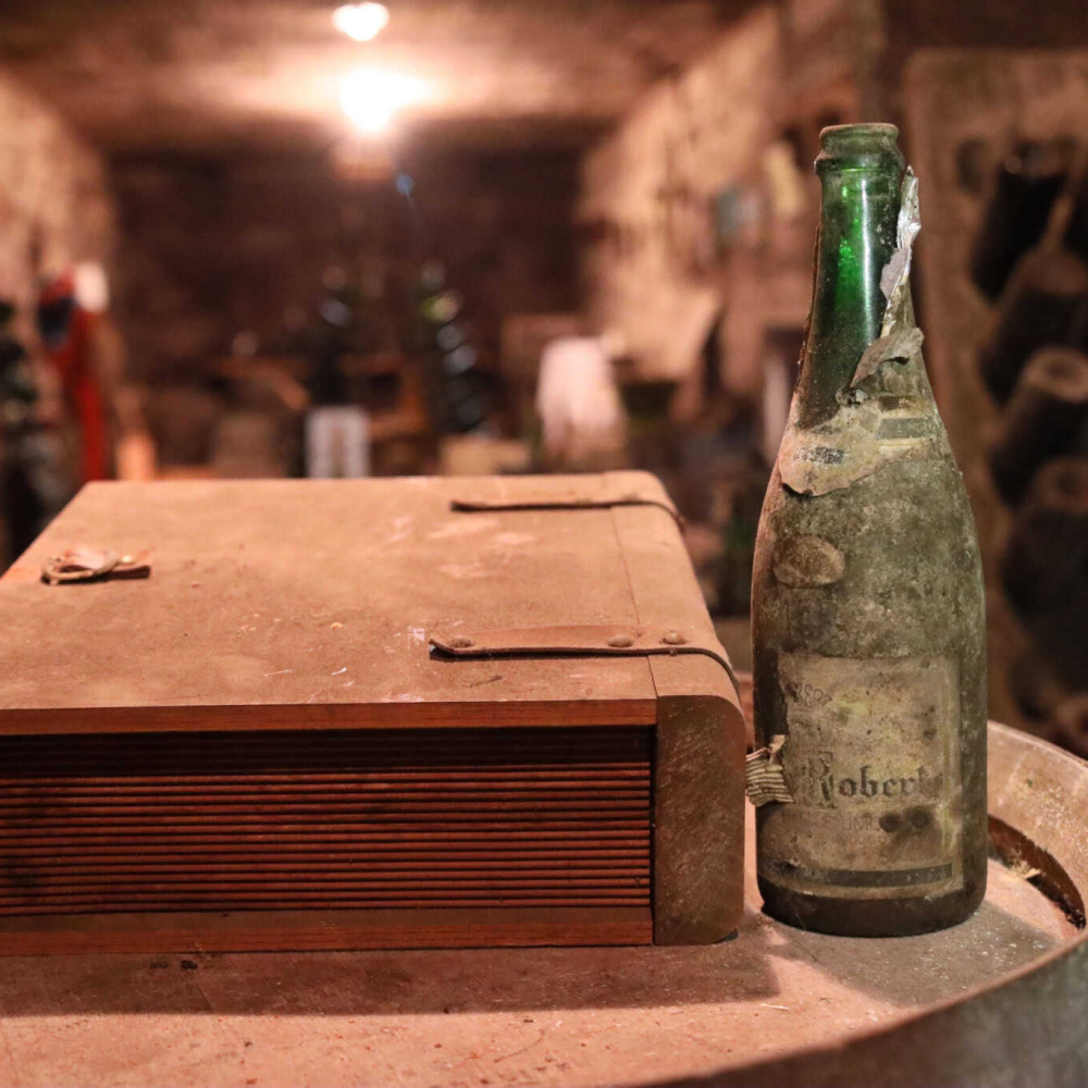 escape-game-2023-domaine-de-fourn-by-domaine de Fourn