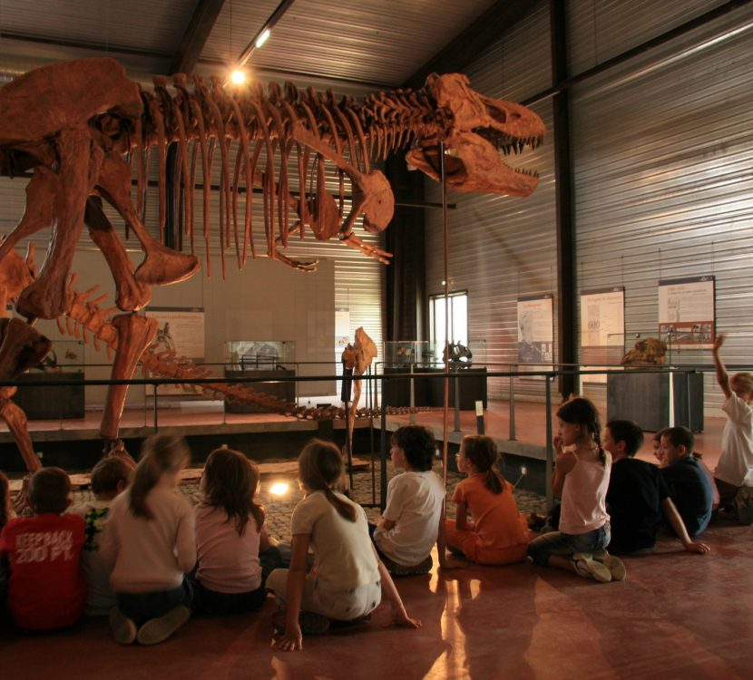 Visite avec les enfants au Musée des dinosaures à Espéraza ©CCI de Carcassonne