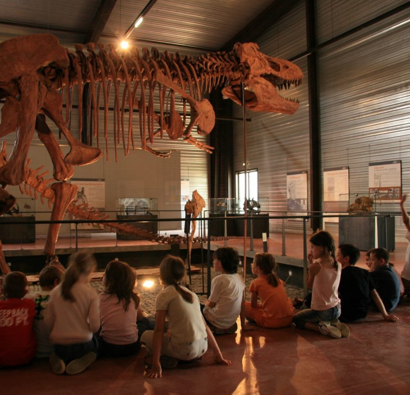 Visite avec les enfants au Musée des dinosaures à Espéraza ©CCI de Carcassonne