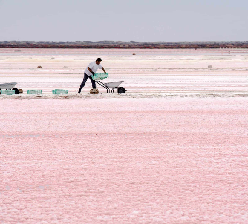 Le travail du saunier à Gruissan,salins de l'Ile de Saint Martin ©IBG Folio - ADT de l'Aude