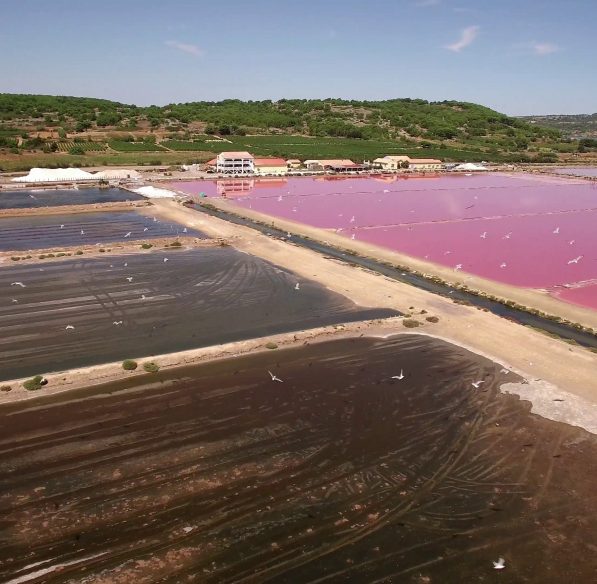 gruissan-2018-07-salin-etang-cr-ailium-adt-aude