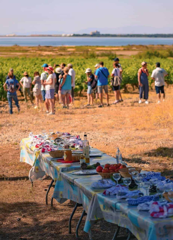 gruissan-2021-07-vigne-mer-degustation-repas-by-vincent-photographie-adt-aude-01