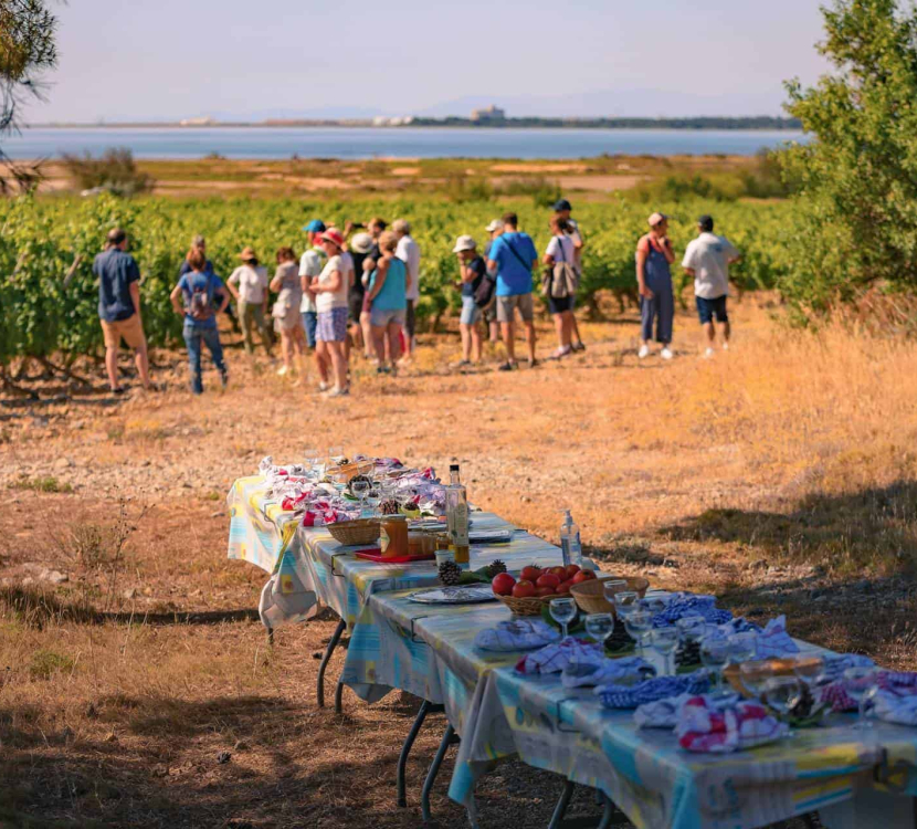 Animation vigneronne à Gruissan @ Vincent Photographie