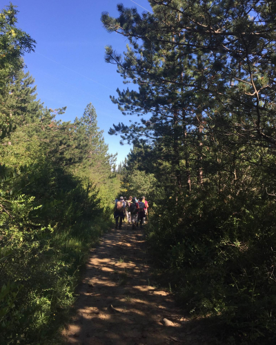 Route des sapins, randonnée en Haute vallée de l'Aude© A. Belondrade, ADT de l'Aude