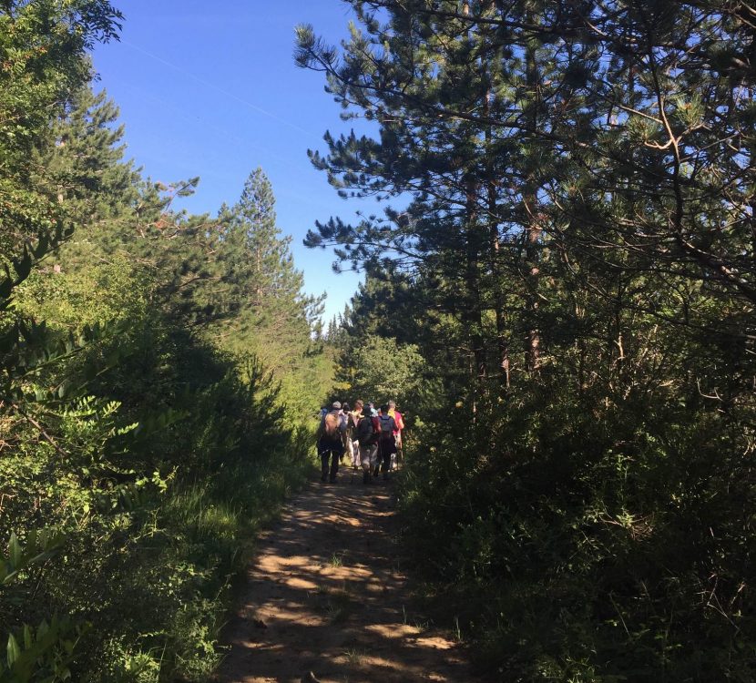 Route des sapins, randonnée en Haute vallée de l'Aude© A. Belondrade, ADT de l'Aude