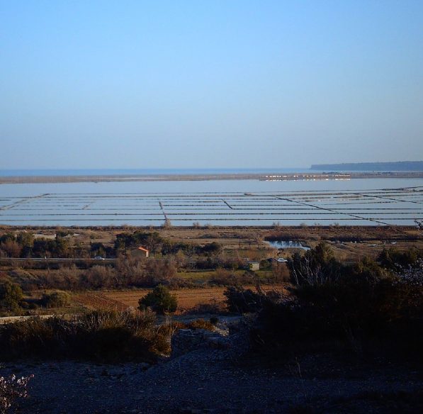 La Palme salin