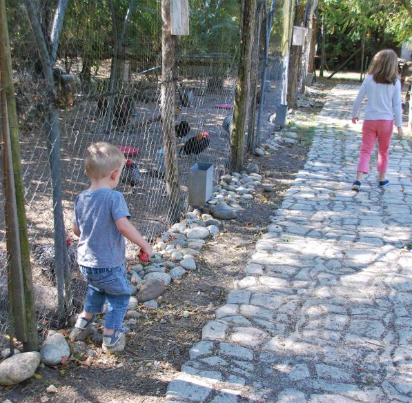 Visite de la ferme la matarelle avec les enfants ©Office de Tourisme de Castelnaudary