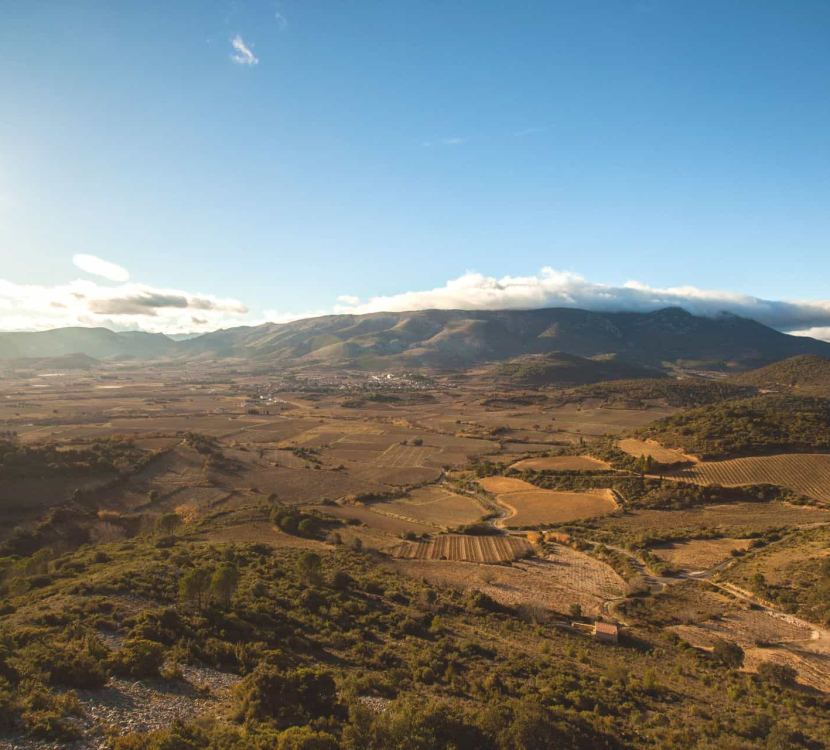 Le Mont Tauch, à Tuchan ©Vincent Photographie