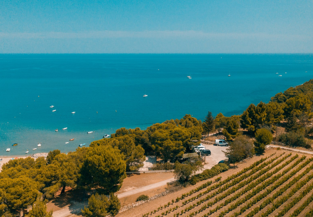 La mer et les vignes, Nicolas Strzempa, OT Leucate