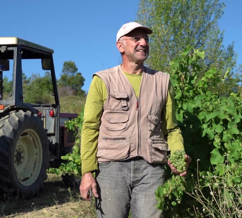 Vendanges dans l'Aude ©Raphaël Kann - ADT de l'Aude