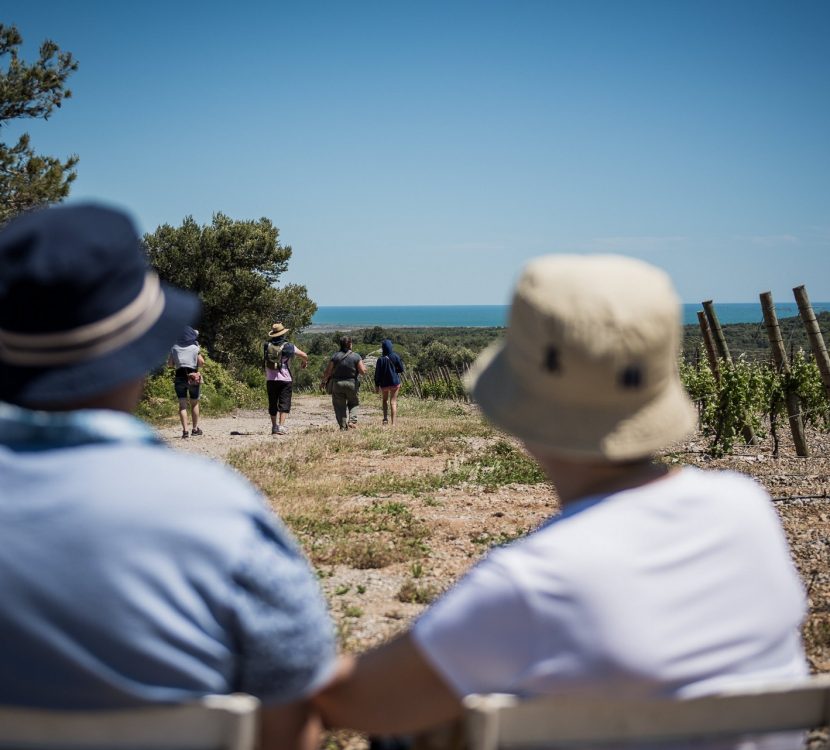 Balade dans les vignes de la Clape