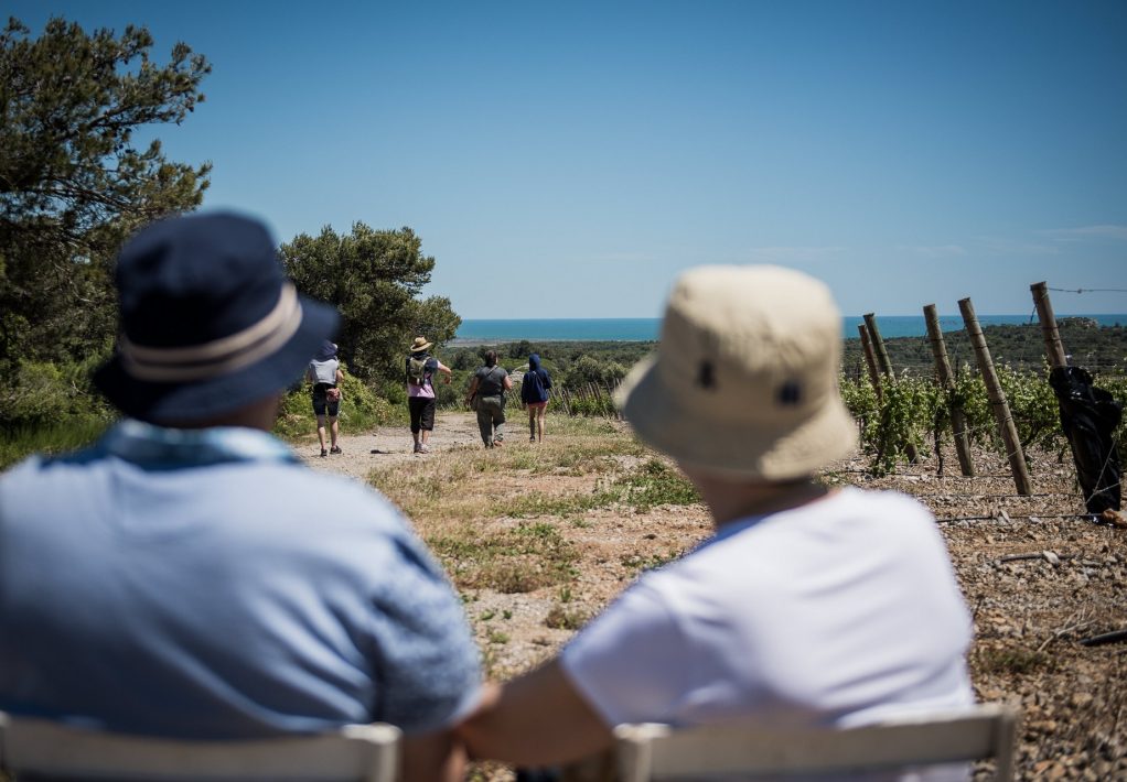 Balade dans les vignes de la Clape