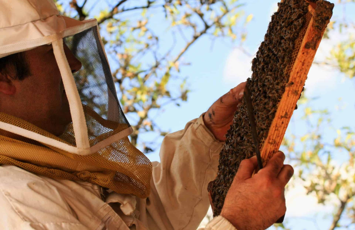 Miellerie des Clauses à Montseret en famille ©miellerie des clauses