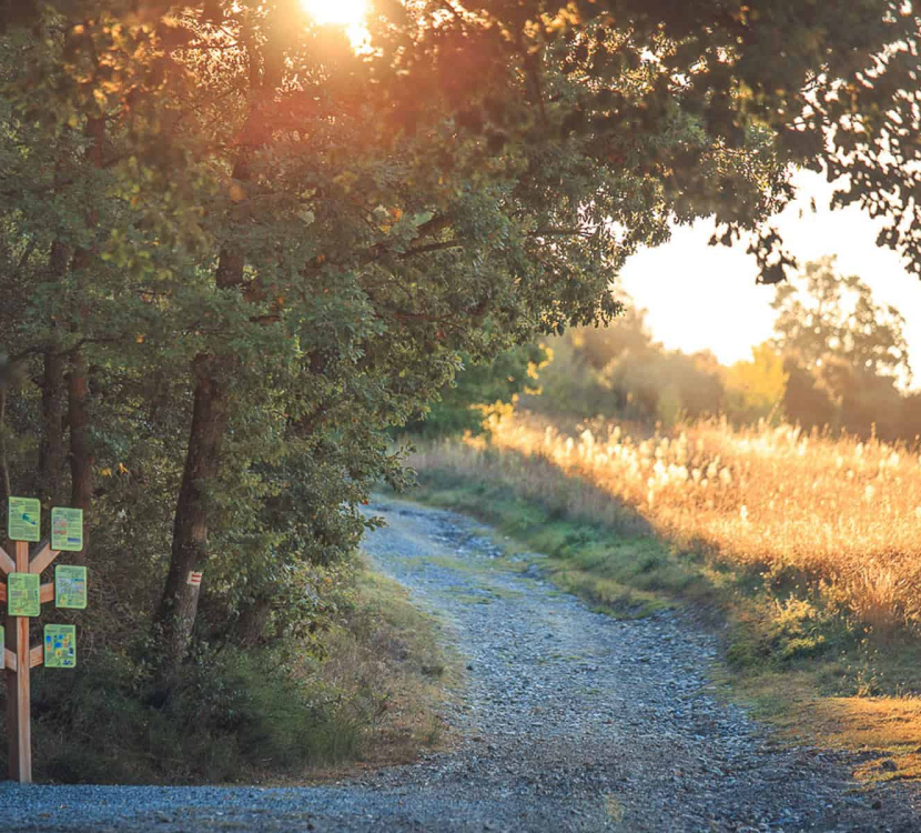 Balade à pied le long du sentier pédagogique à Montréal ©Vincent Photographie