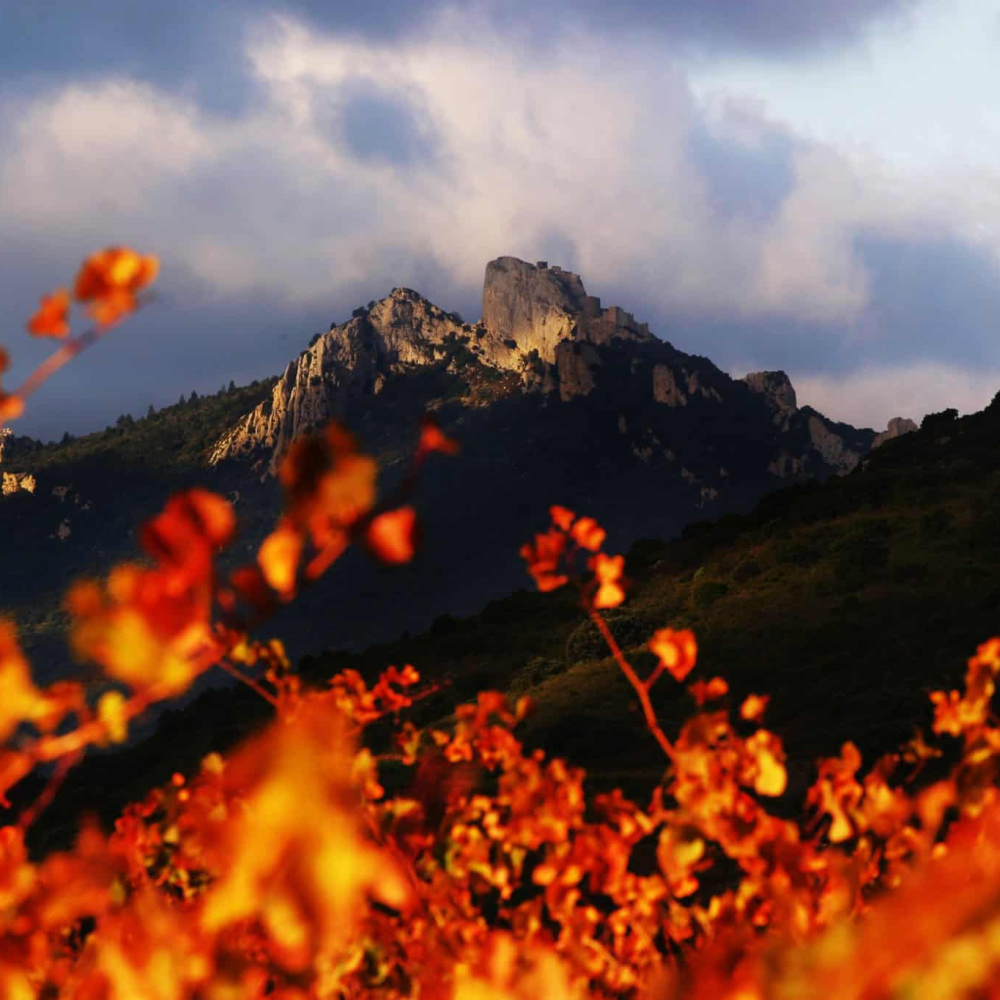 Château dans les vignes