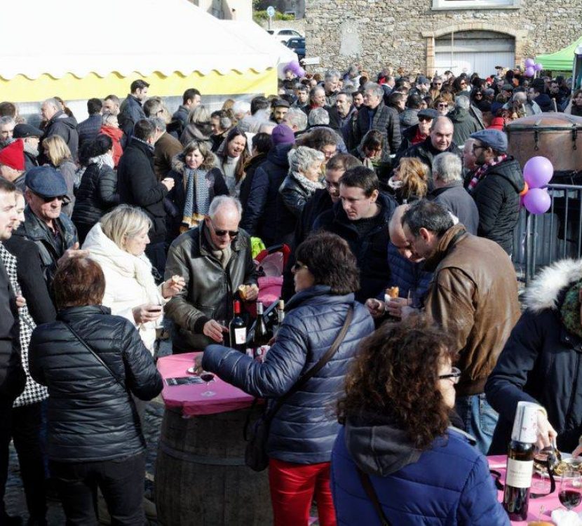 Les Ampélofolies du Cabardès à Moussoulens, crédit Ampélofolies Les Ampélofolies du Cabardès à Moussoulens, crédit Ampélofolies