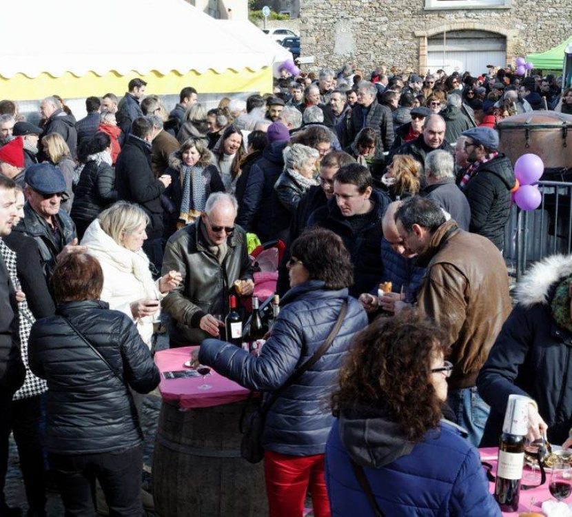 Les Ampélofolies du Cabardès à Moussoulens, crédit Ampélofolies