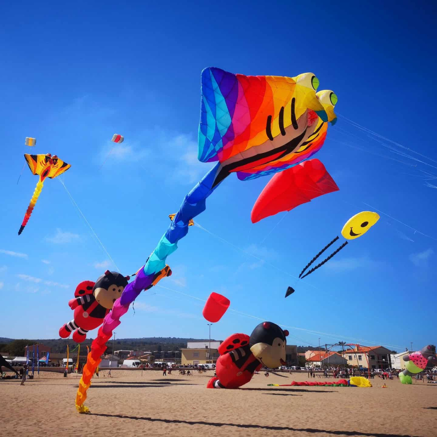 Les Natur'Ailes, à Narbonne plage,manifestation de cerfs-volants© Ailium, ADT Aude