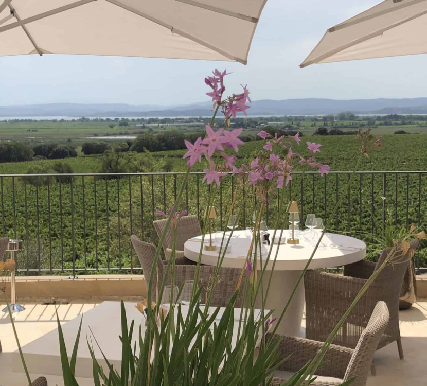 narbonne-2022-04-vigne-mer-terrasse-cr-chateau-capitoul