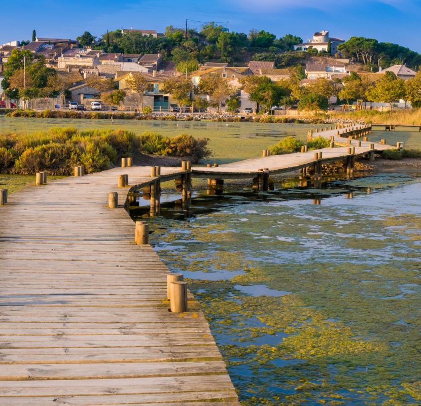 Balade le long de l'étang de Bages à Peyriac de Mer ©Pierre Davy-ADT de l'Aude