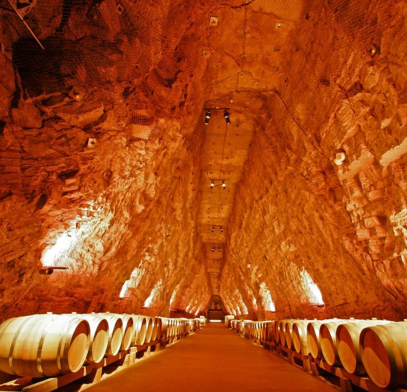 Visite de la galerie de Terra Vine à Portel-des-Corbières ©Céline Deschamps-ADT de l'Aude