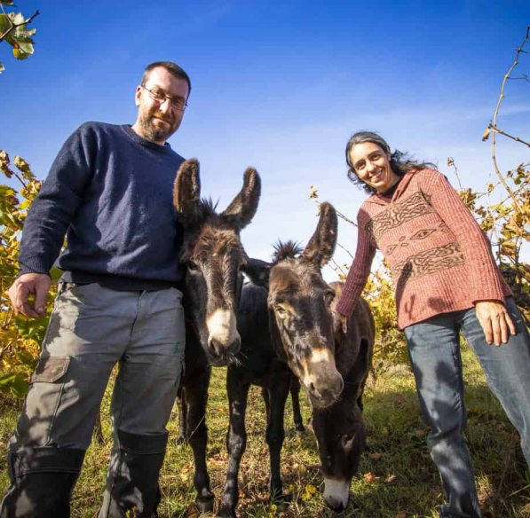 Sylvie et Laurent Bachevillier du Domaine Les Cascades à Ribaute, avec leurs ânes. Ils ont perdu leurs vignes, oliviers et chênes truffiers dans l'incendie.