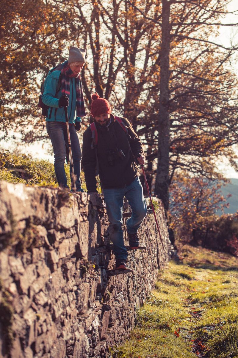 Randonnée en Montagne Noire à travers les murets de pierre ©Vincent Photographie, ADT de l'Aude