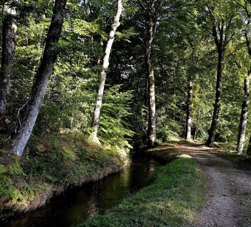 La Rigole, aux sources du canal du midi © D. Cospérec, Les Villemarcheurs